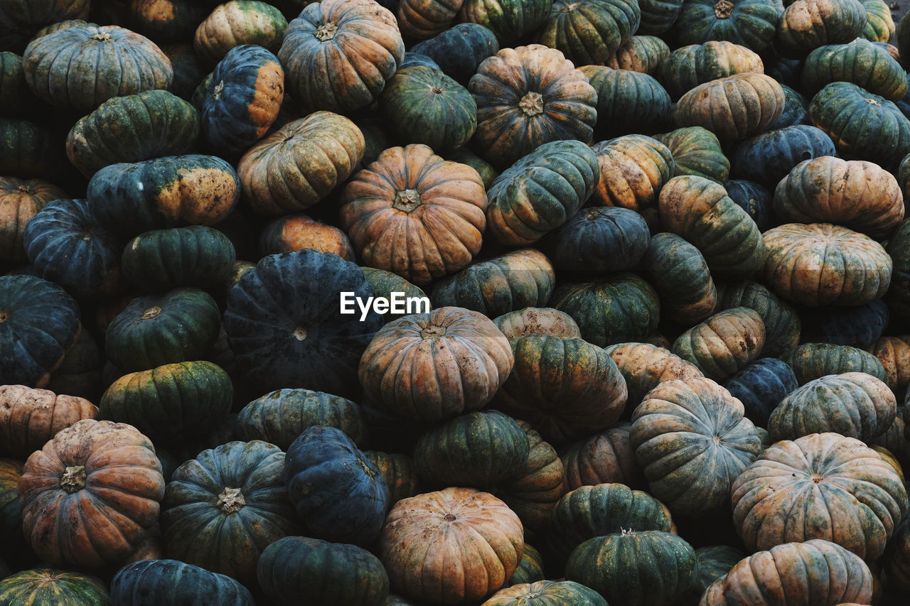 Full frame shot of pumpkins at market