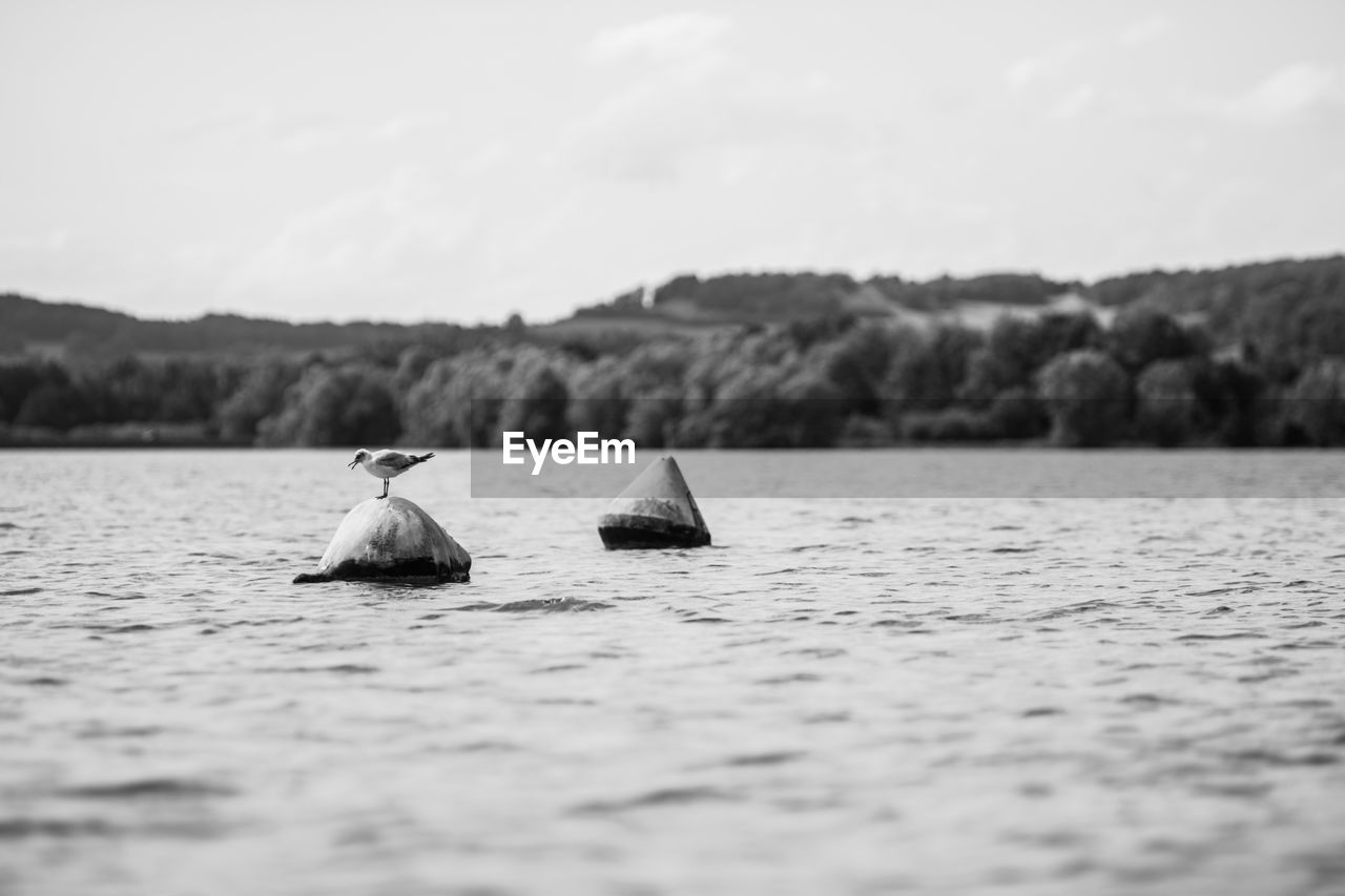 VIEW OF A LAKE