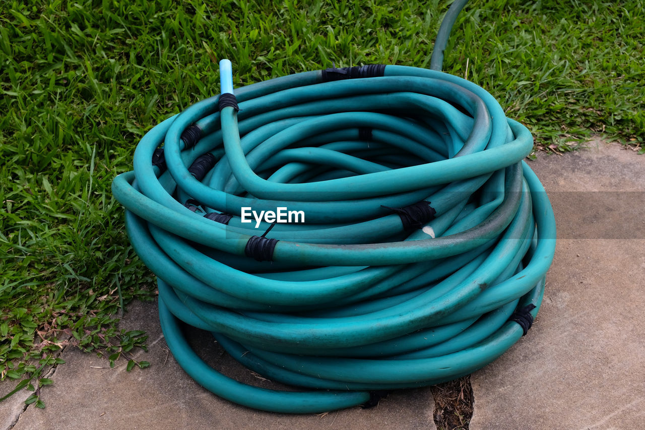 HIGH ANGLE VIEW OF BLUE GRASS