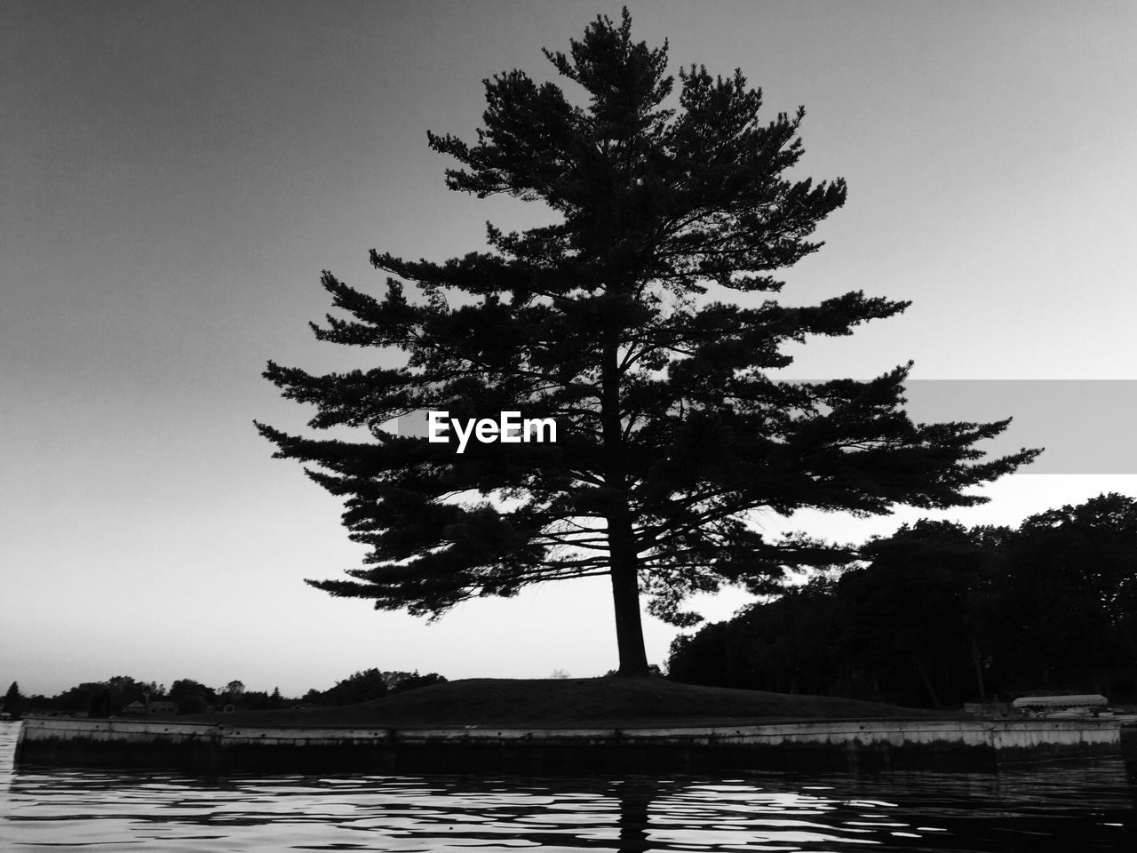 Low angle view of silhouette tree on field by lake against sky