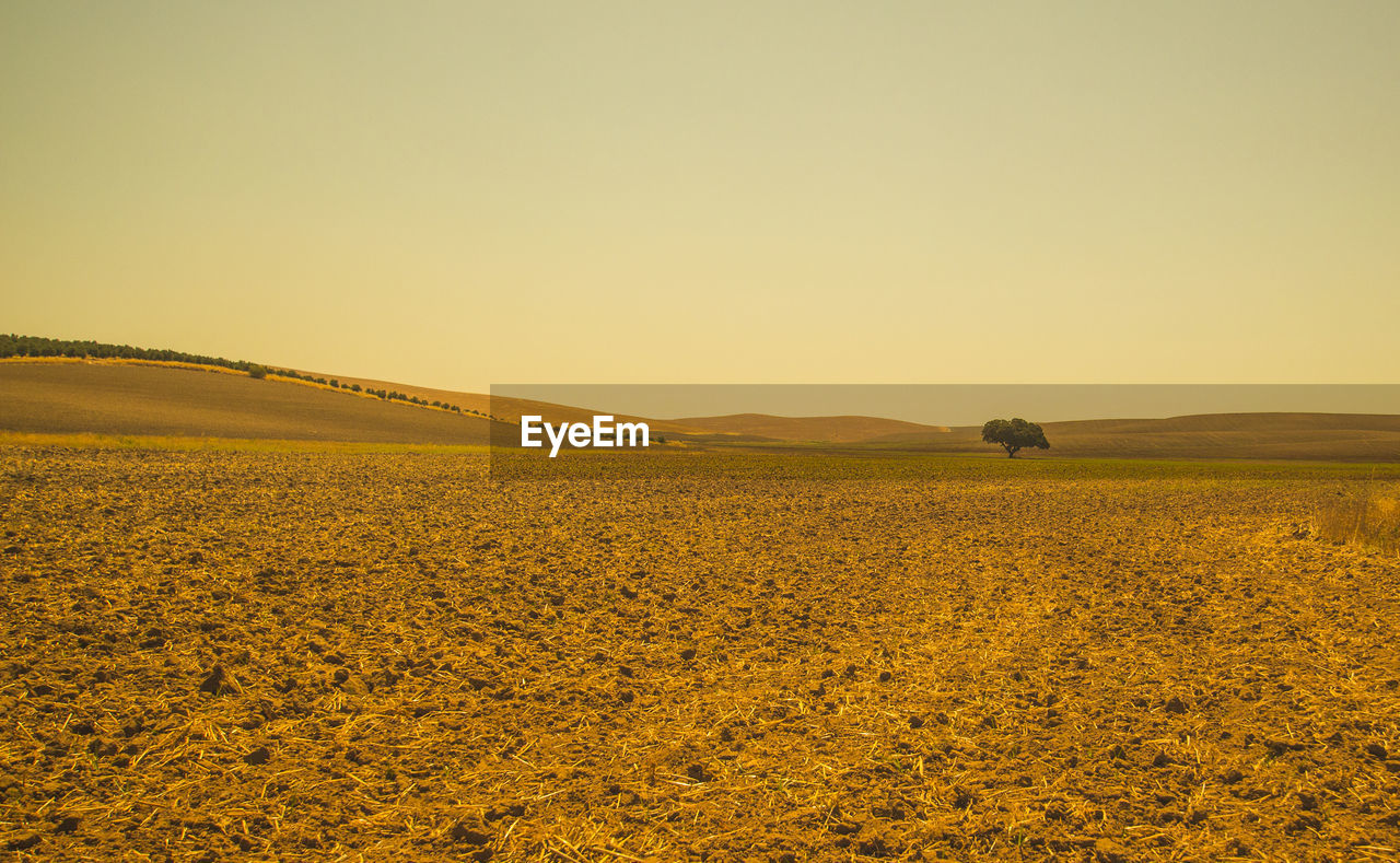 Scenic view of rural landscape