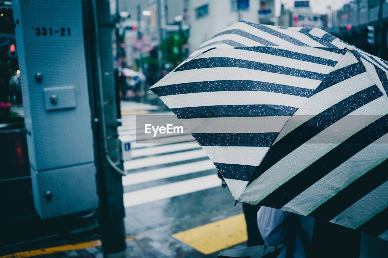 Close-up of person with umbrella on zebra crossing in city
