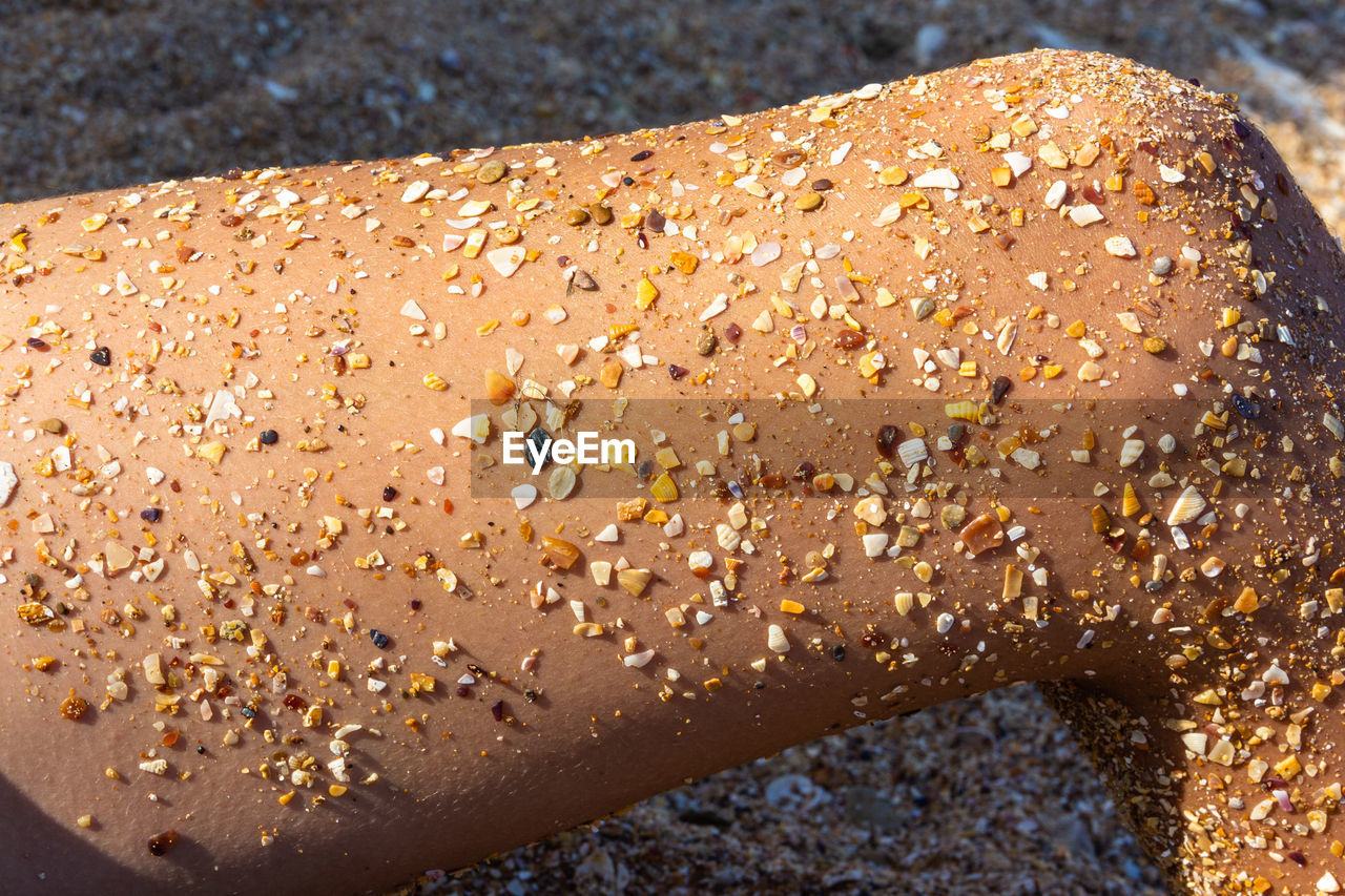 The skin on the leg of a young girl or young man sunbathing on a sea beach in pieces of seashells