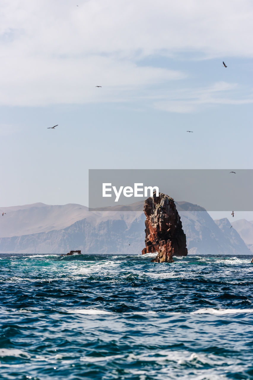 Birds flying over sea against sky