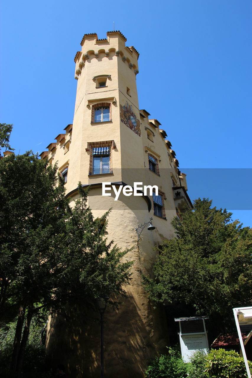 LOW ANGLE VIEW OF TREES AND BUILDING AGAINST SKY