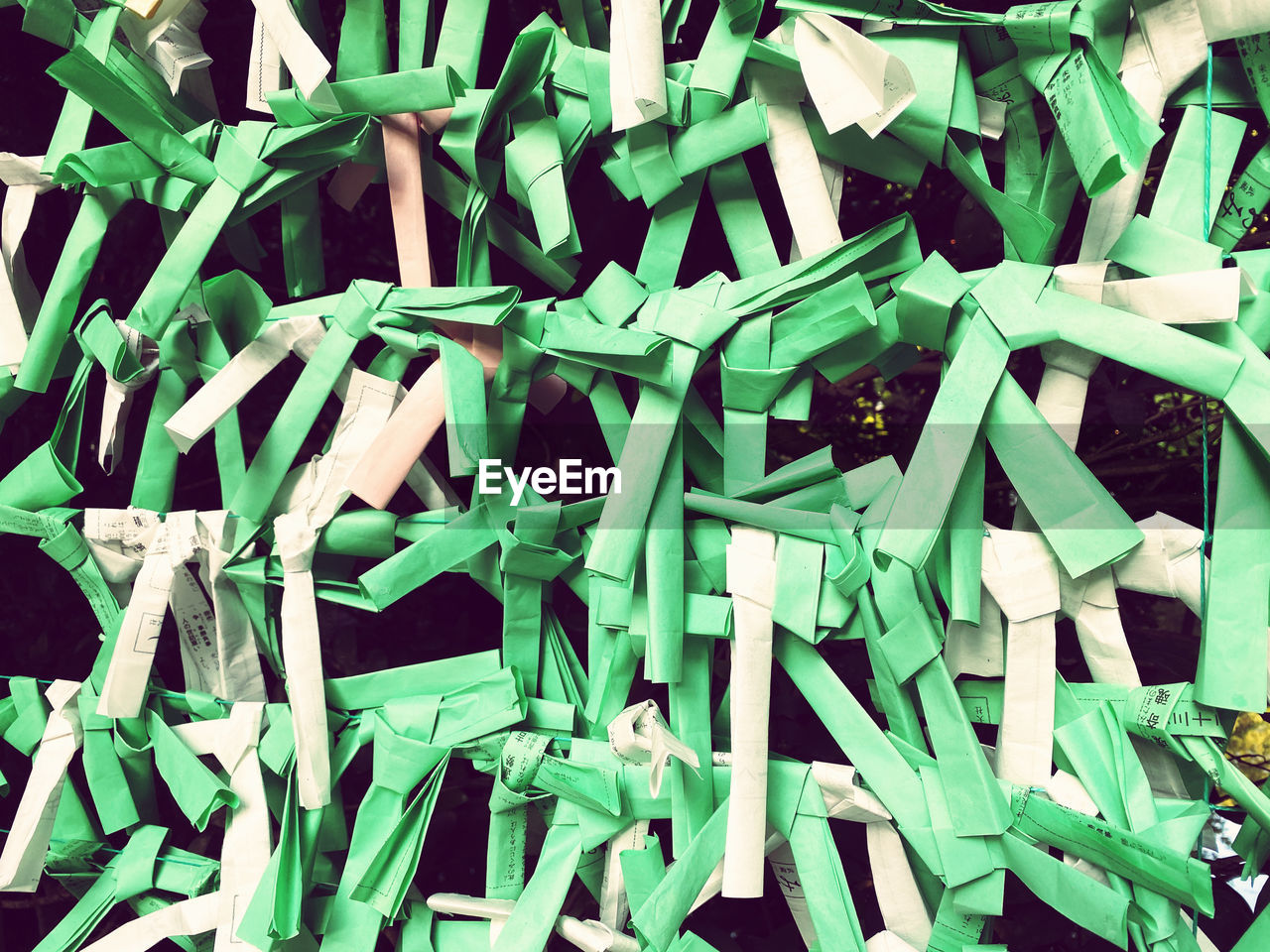 HIGH ANGLE VIEW OF GREEN LEAVES ON WOODEN FLOOR