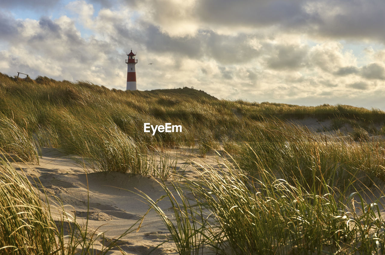 Lighthouse by bushes at sandy beach against cloudy sky