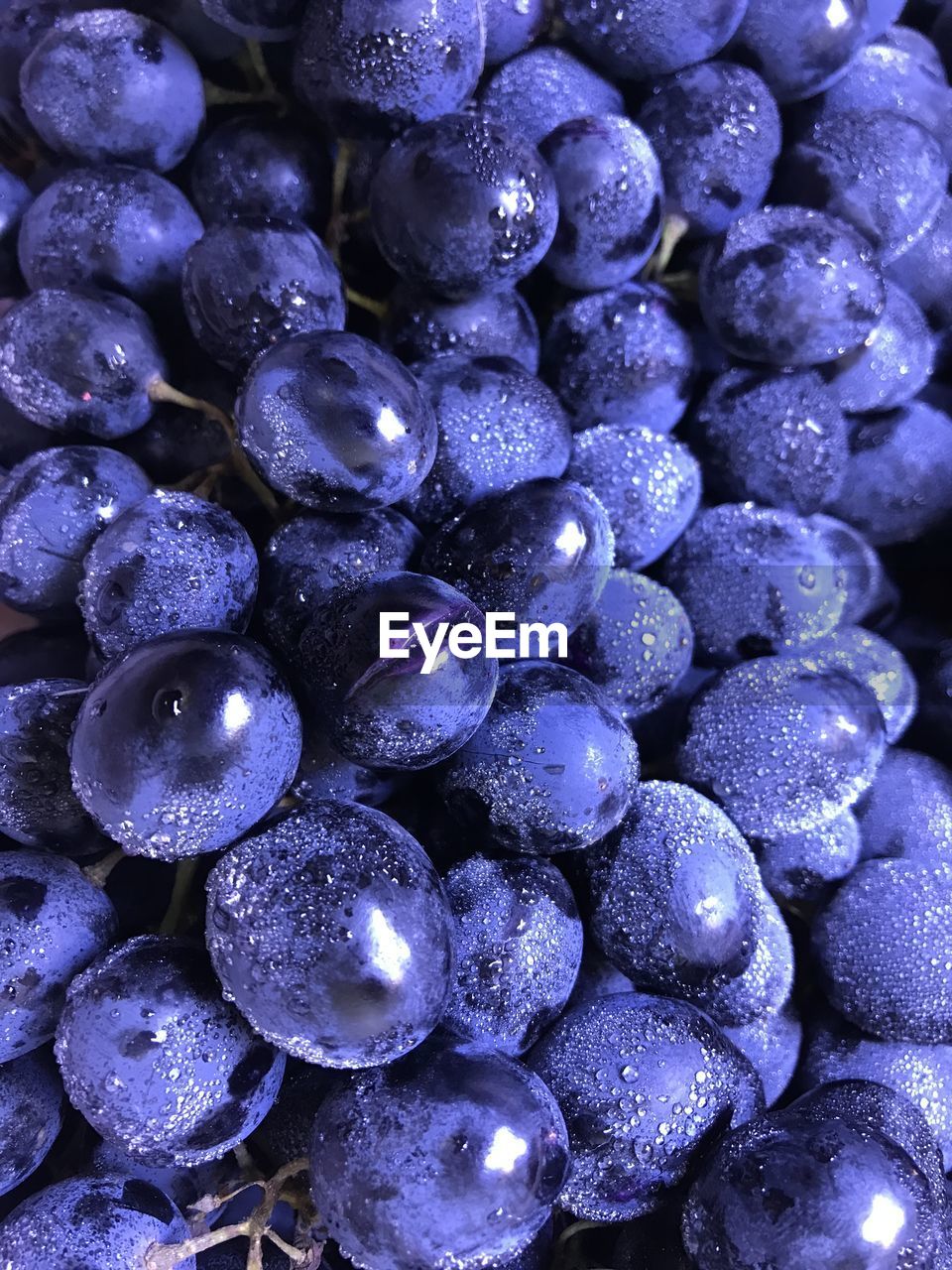 FULL FRAME SHOT OF WET BLUE FRUIT