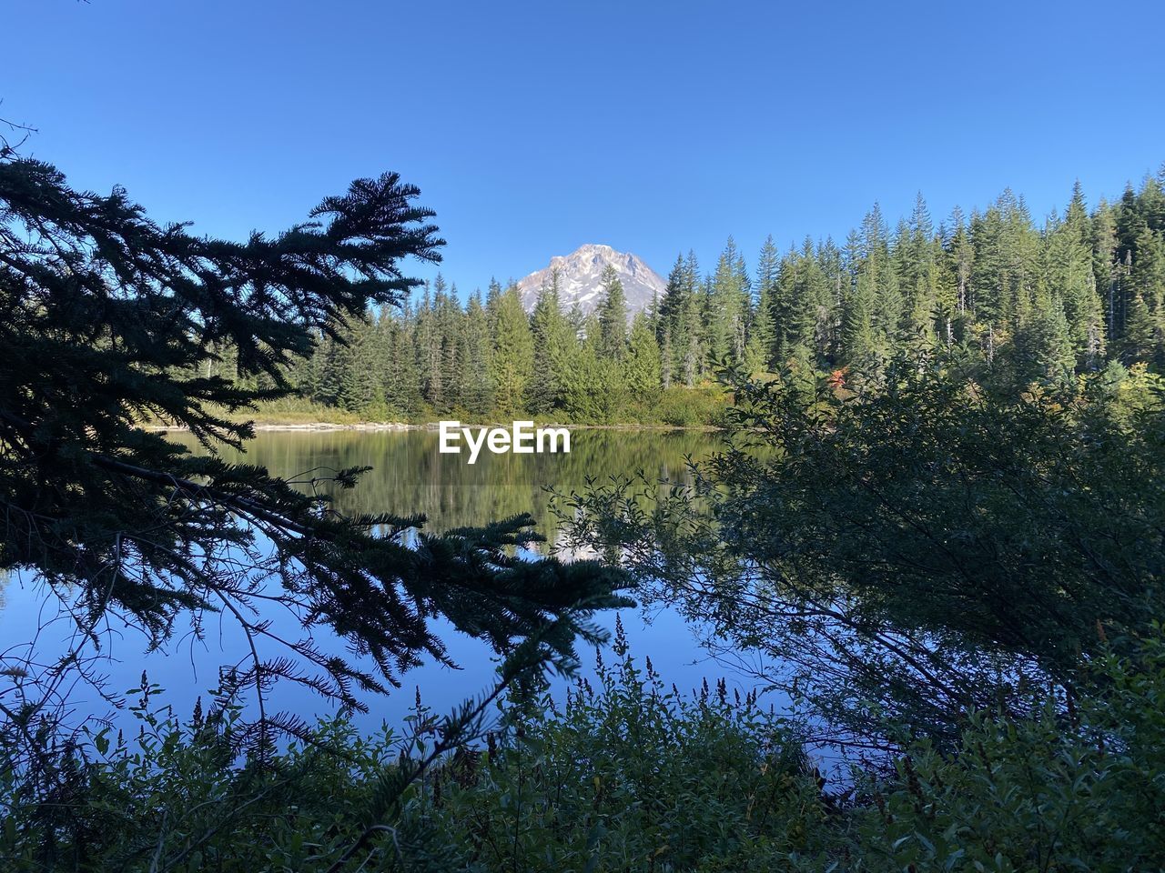 wilderness, plant, tree, nature, forest, beauty in nature, water, sky, scenics - nature, reflection, coniferous tree, pine tree, pinaceae, tranquility, mountain, lake, tranquil scene, land, pine woodland, no people, natural environment, non-urban scene, woodland, environment, blue, landscape, growth, autumn, meadow, clear sky, leaf, day, green, outdoors, body of water, travel destinations, ridge, idyllic, travel, remote