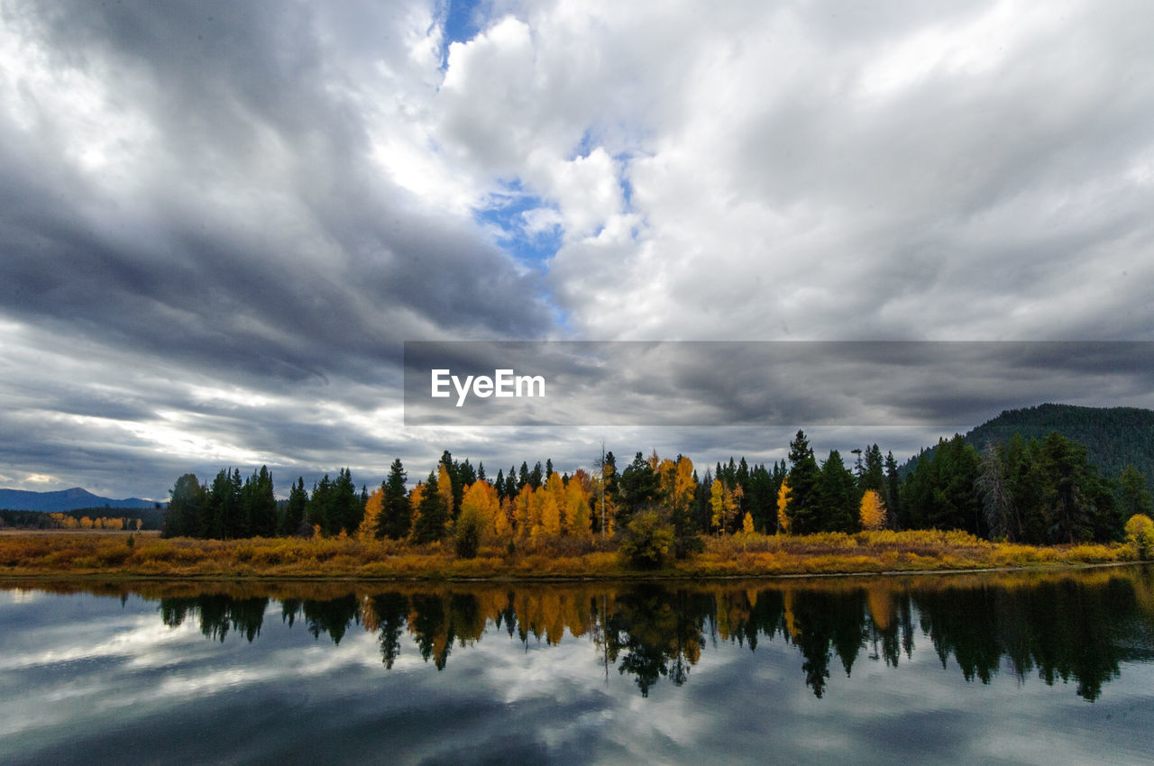 Reflection of trees in lake against sky