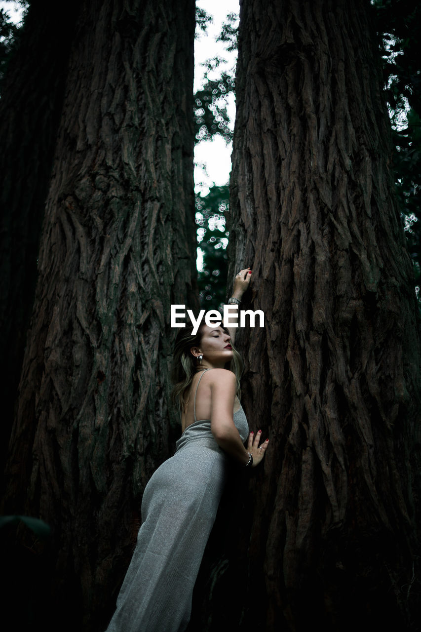 Sensual woman standing by tree trunk