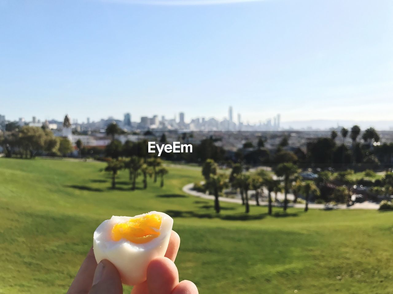 Cropped fingers of person holding egg against green landscape
