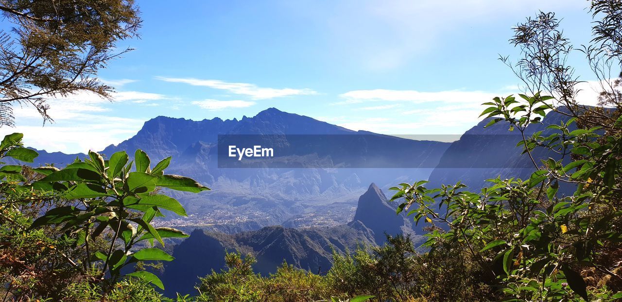 PANORAMIC VIEW OF TREES AND MOUNTAINS AGAINST SKY