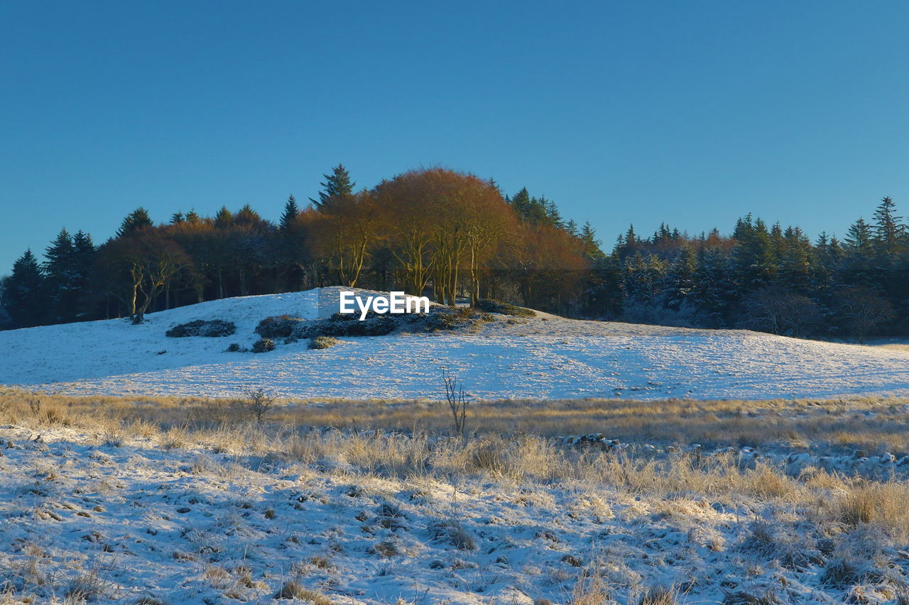 Scenic view of snow covered landscape against clear blue sky