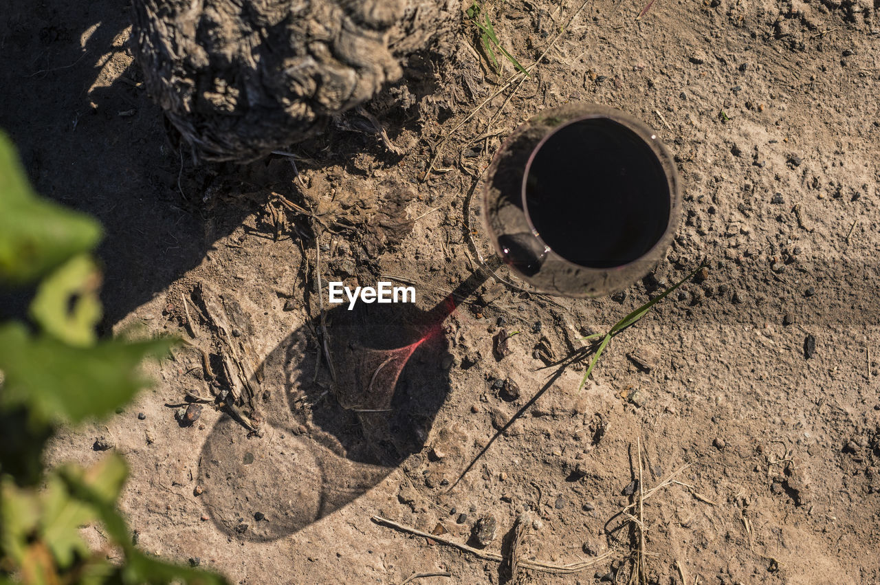 High angle view of wineglass on sand