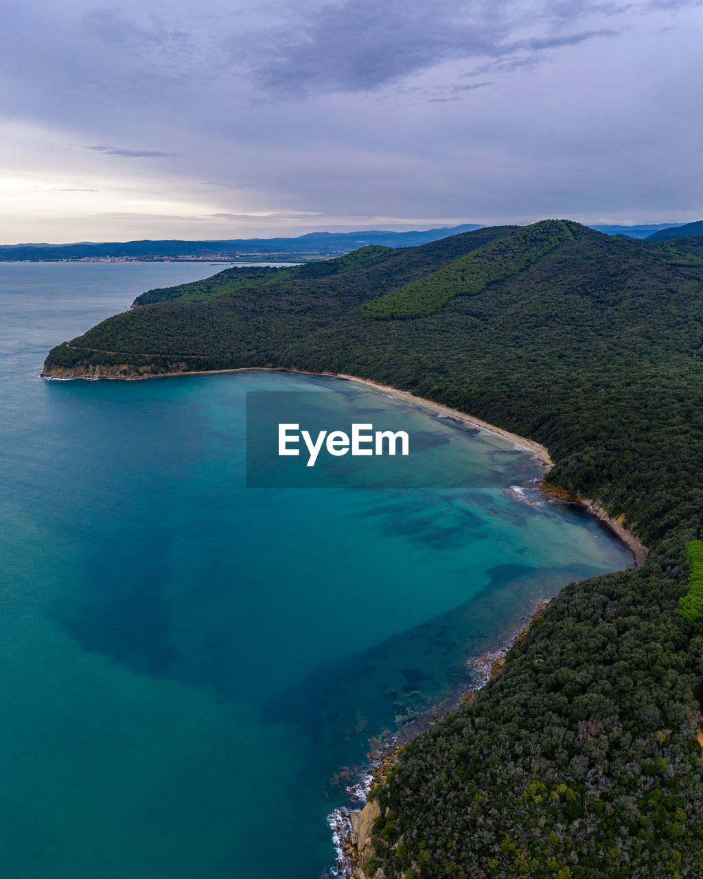 Aerial view of beach