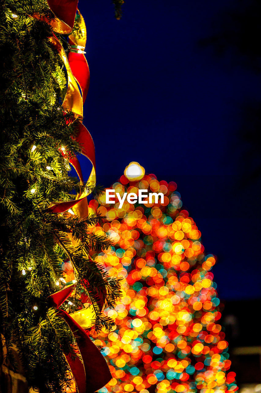 celebration, decoration, christmas tree, illuminated, tree, flower, holiday, tradition, night, christmas decoration, light, plant, no people, lighting equipment, christmas, low angle view, yellow, christmas lights, nature, event, outdoors, traditional festival, multi colored, sky, hanging, lantern