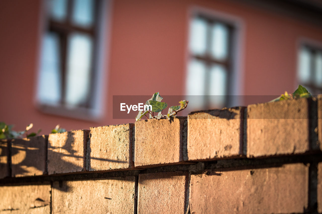 Close-up of brick wall