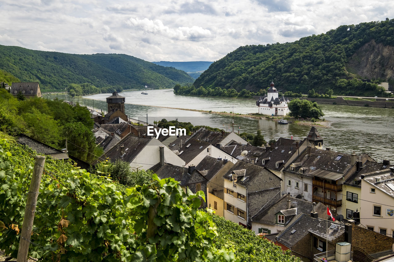 Vineyards on rhine river rhineland-palatinate germany europe