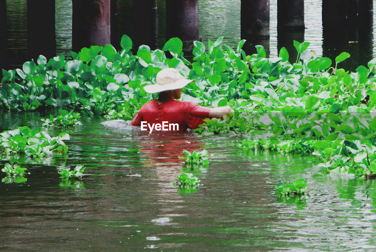 REAR VIEW OF MAN IN LAKE WITH PLANTS