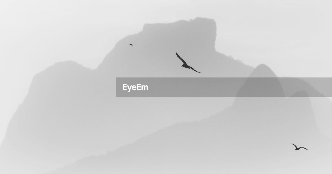 LOW ANGLE VIEW OF SILHOUETTE BIRD FLYING AGAINST MOUNTAIN RANGE
