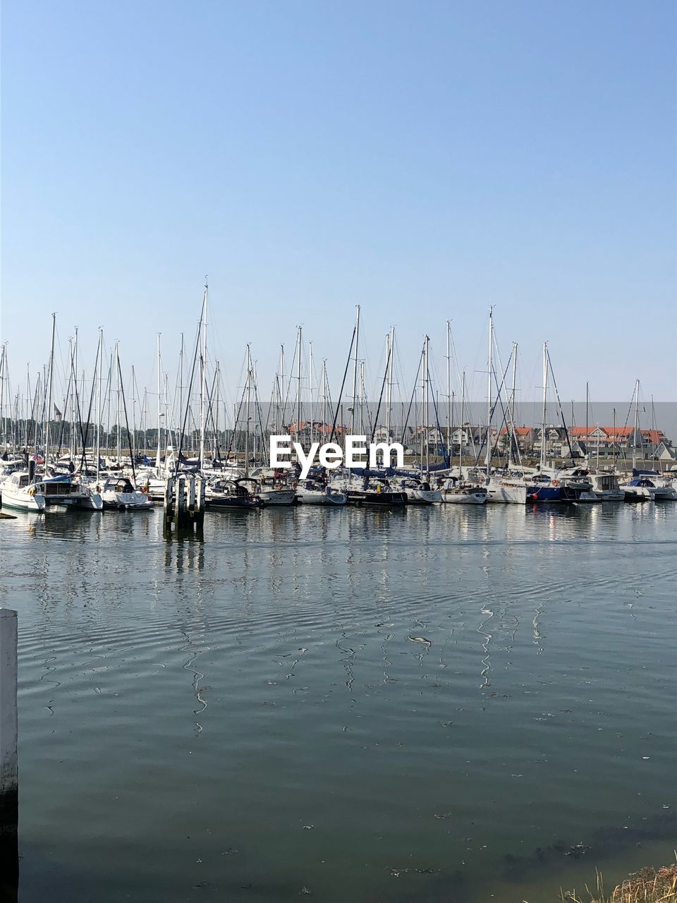 SAILBOATS IN HARBOR