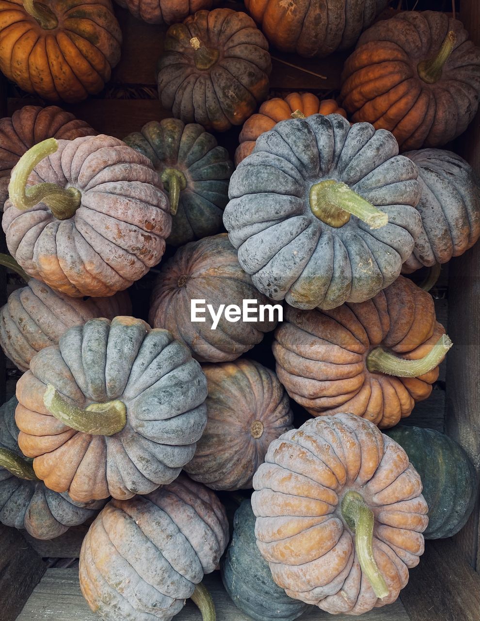 Full frame shot of pumpkins at market stall