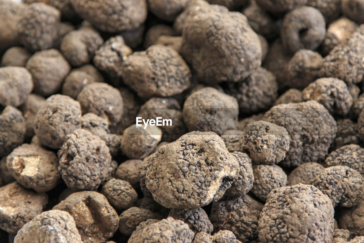 Full frame shot of black truffles at market for sale