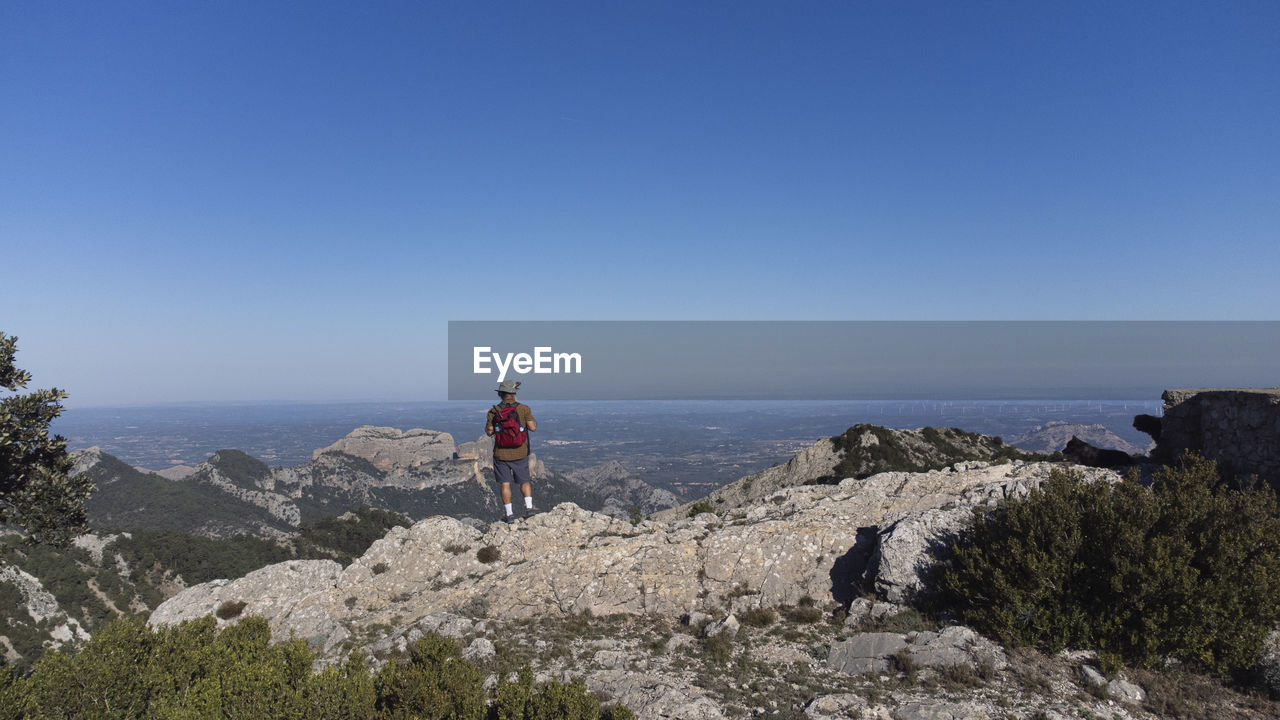 Rear view of man standing on rock by sea against clear sky