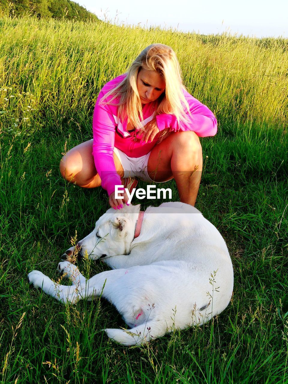 Woman stroking dog on field