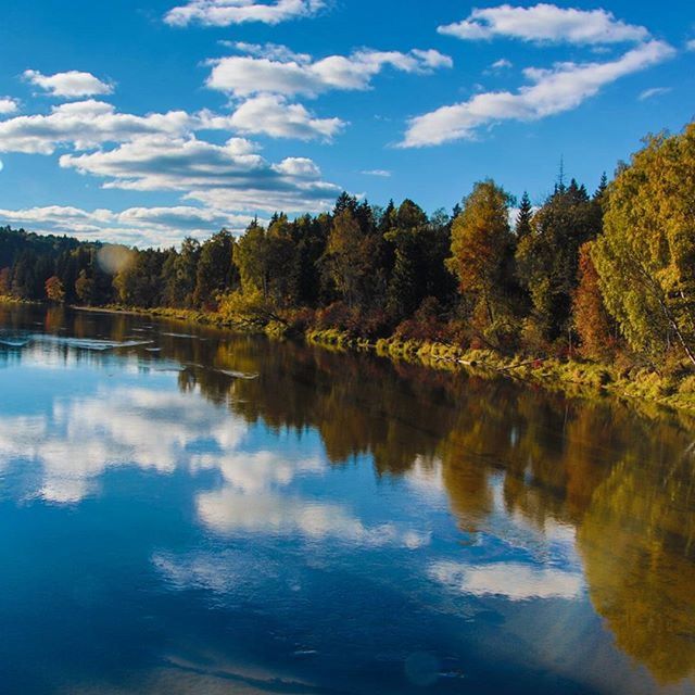 REFLECTION OF TREES IN WATER