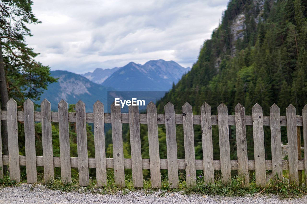 PANORAMIC SHOT OF TREES ON MOUNTAIN AGAINST SKY