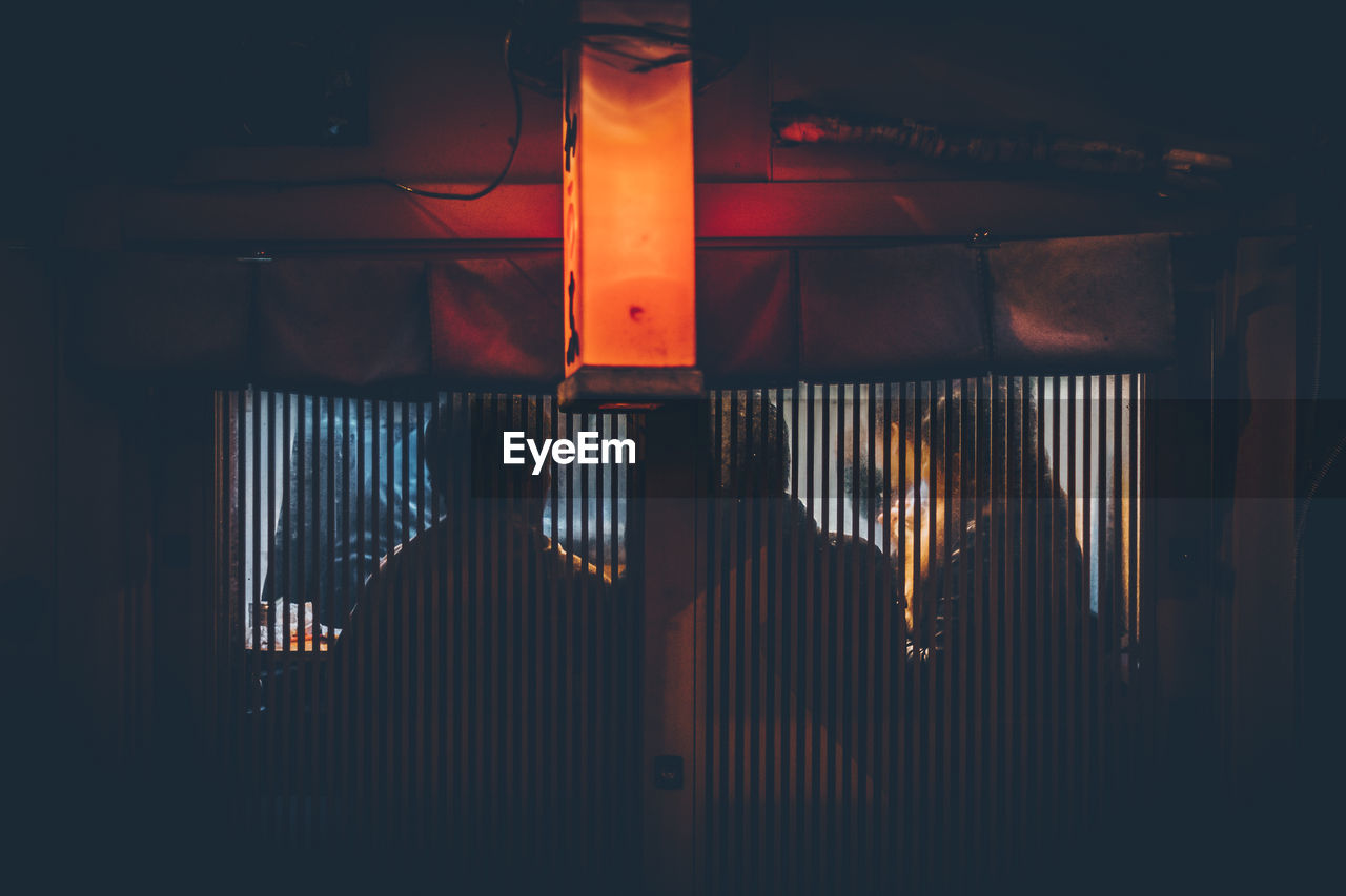 People seen through blinds