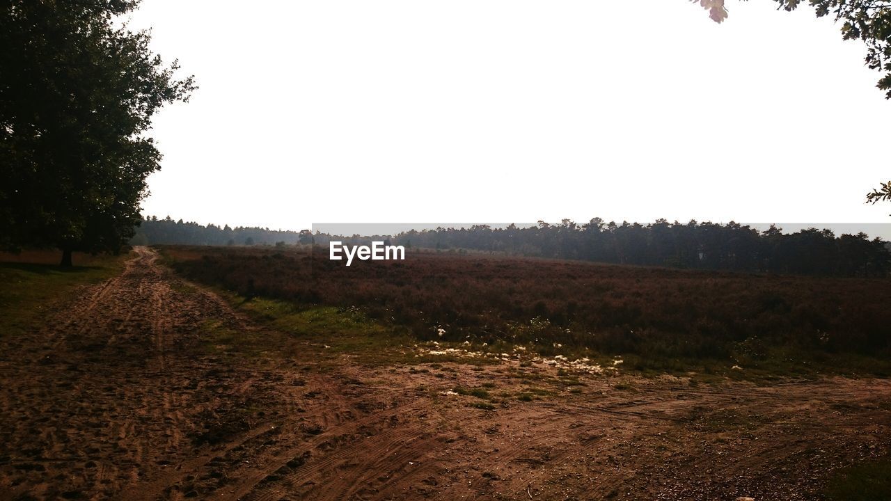 Dirt road on field against sky