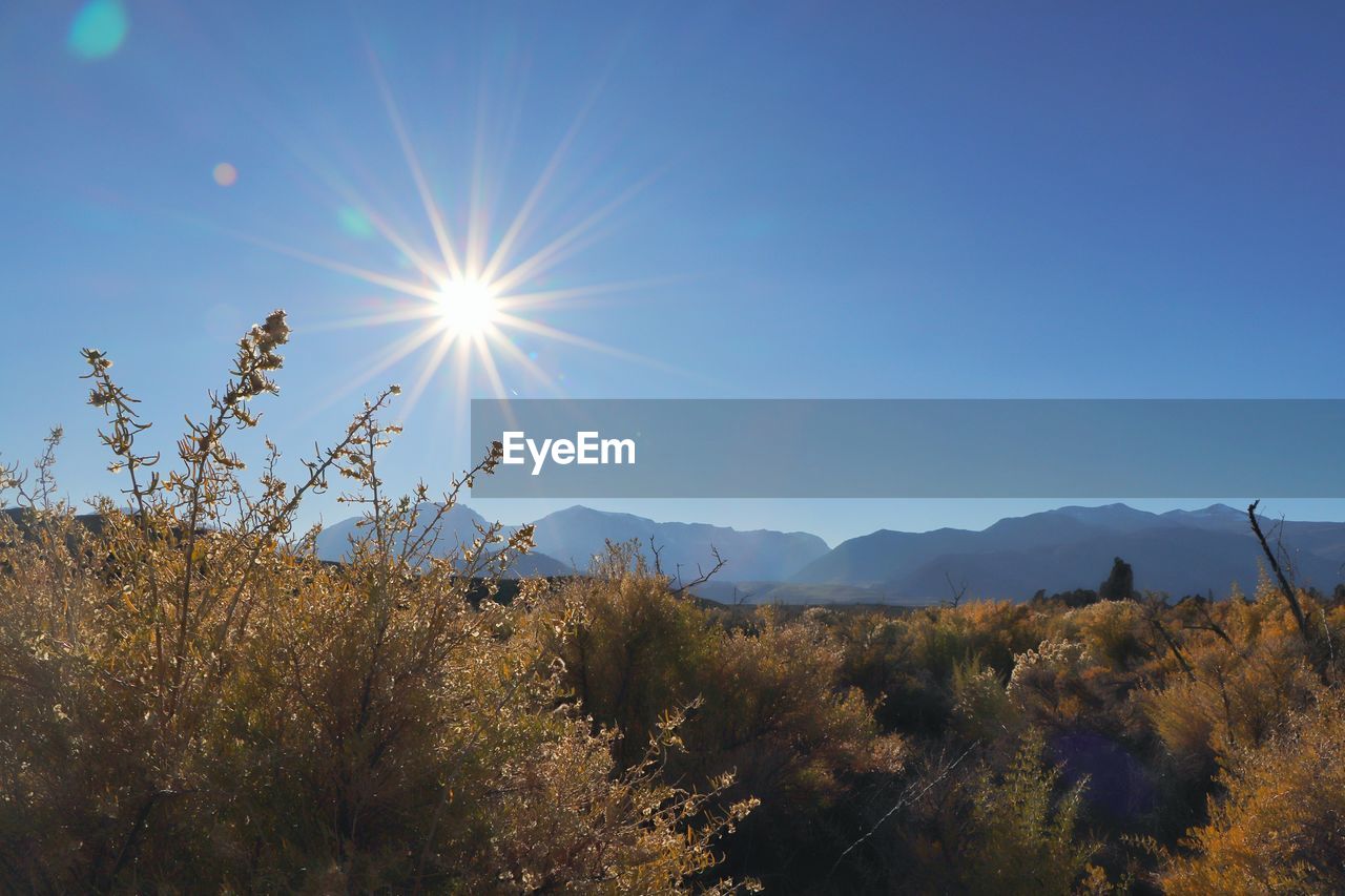 Scenic view of mountain against sky