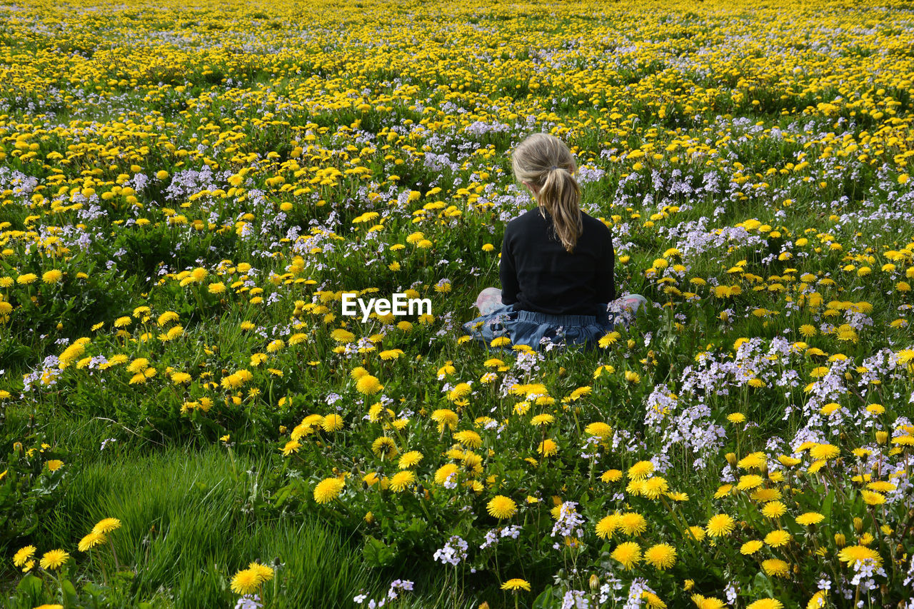 Rear view of young woman with yellow flowers in field