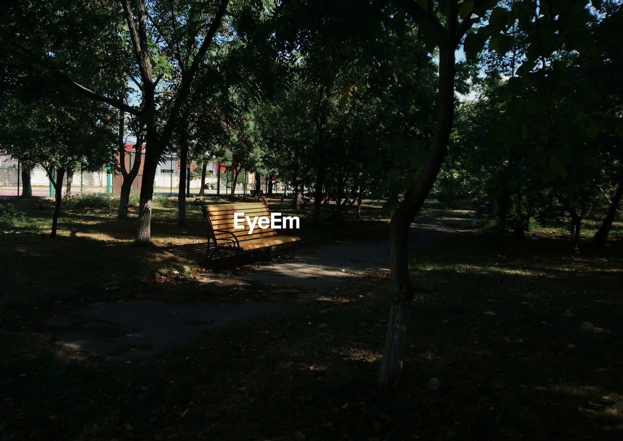 Bench by trees at park