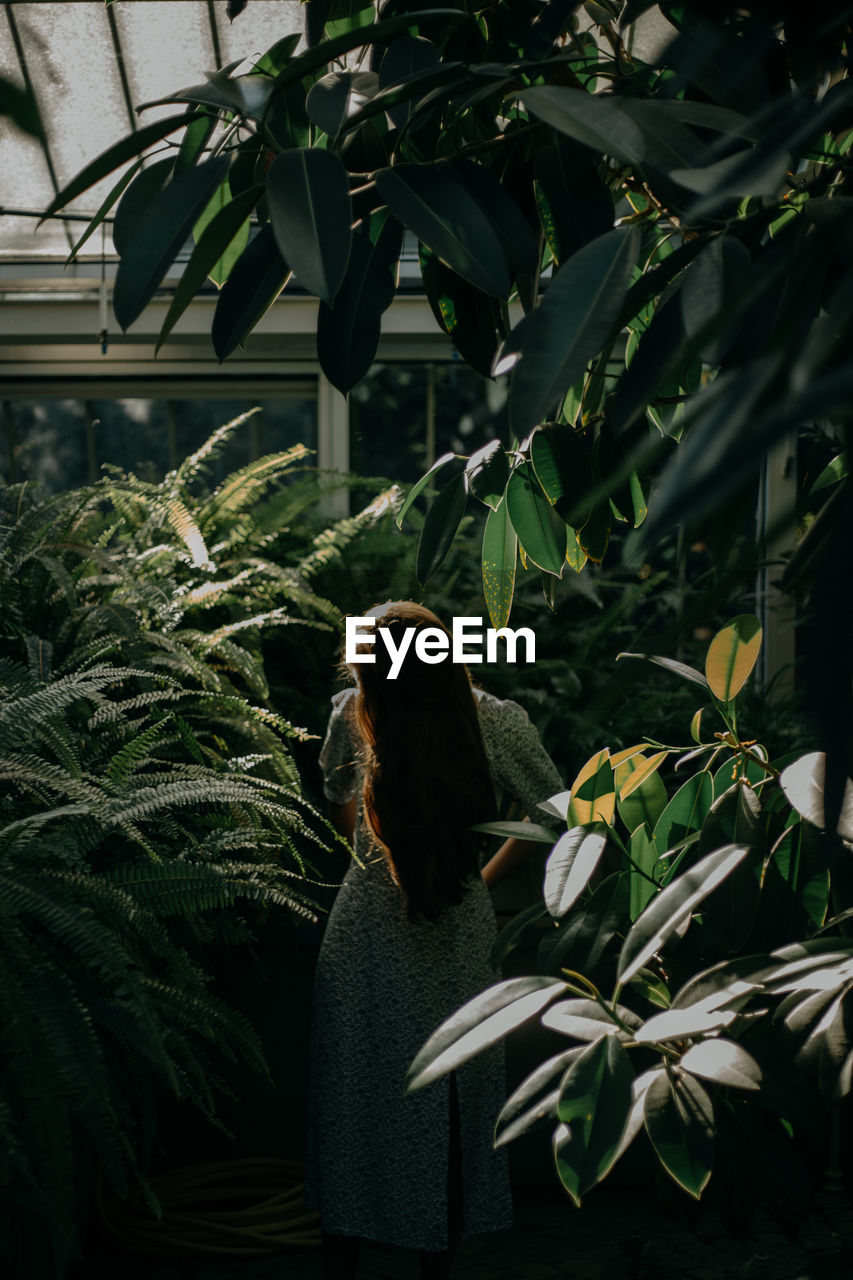 Portrait of a young woman amidst plants during sunset