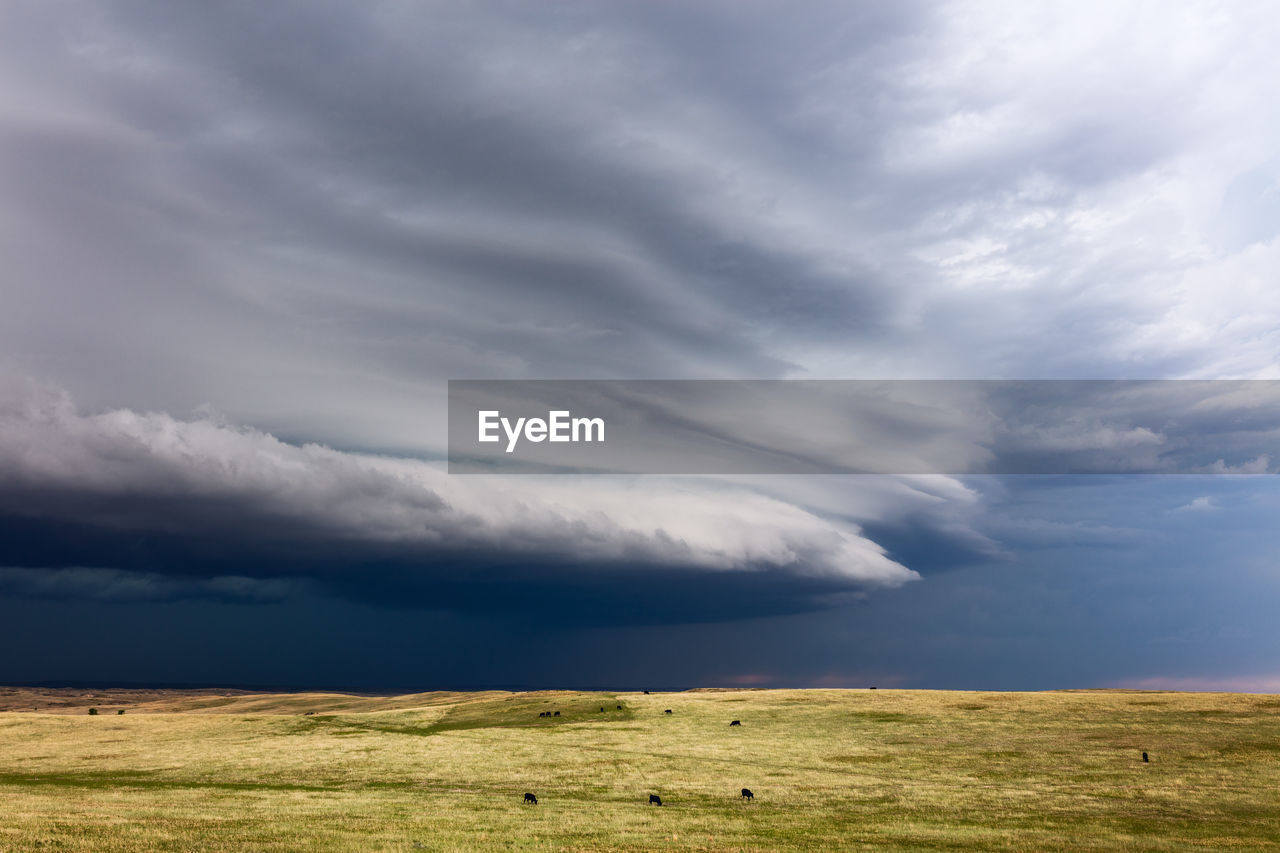 A striated shelf cloud leads an approaching severe thunderstorm near glendive, montana