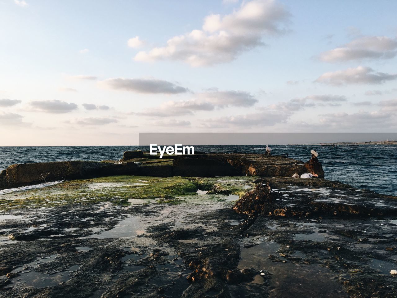 Scenic view of calm sea against sky