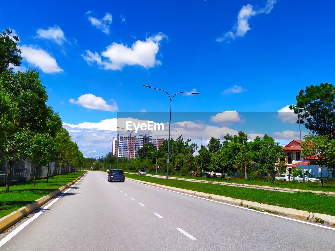 CARS ON ROAD BY TREES AGAINST SKY