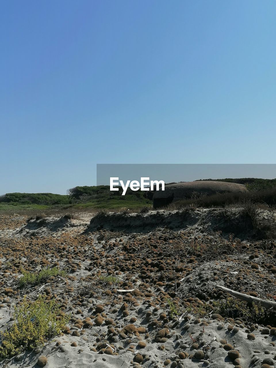 SCENIC VIEW OF FIELD AGAINST CLEAR SKY