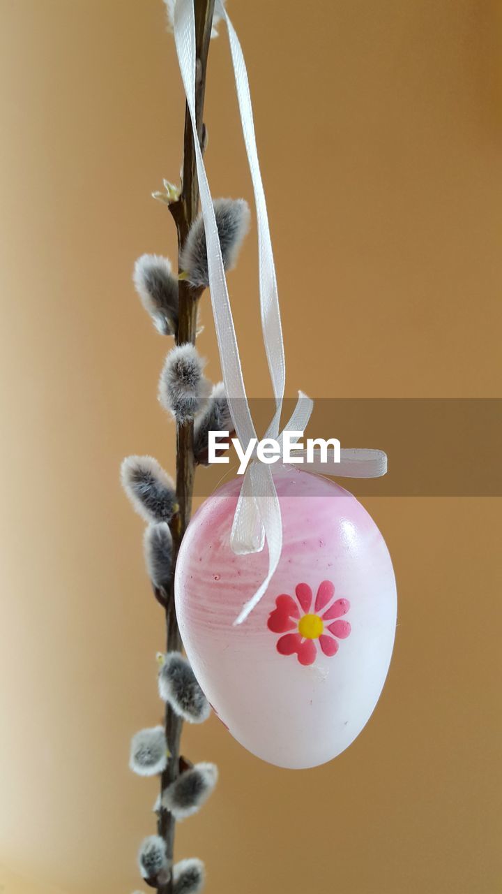 Close-up of pink easter egg hanging on plant against yellow background