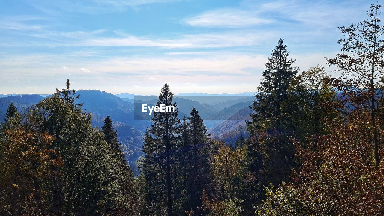 Trees on mountain against sky during autumn