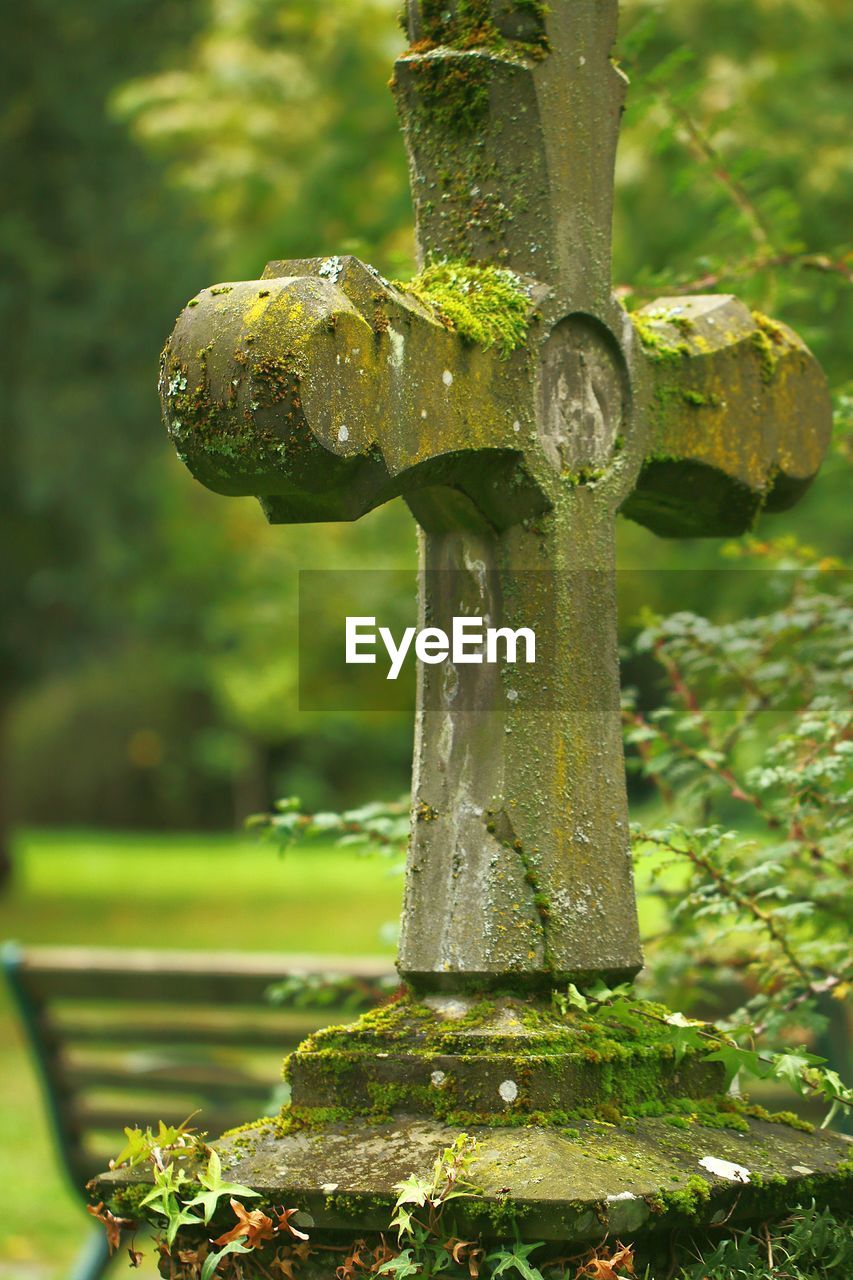 Close-up of moss covered gravestone at cemetery