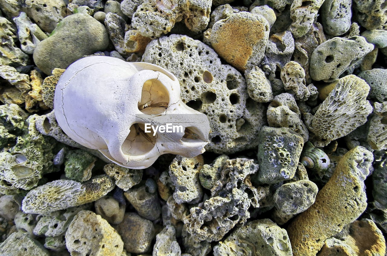 Full frame shot of pebbles on beach