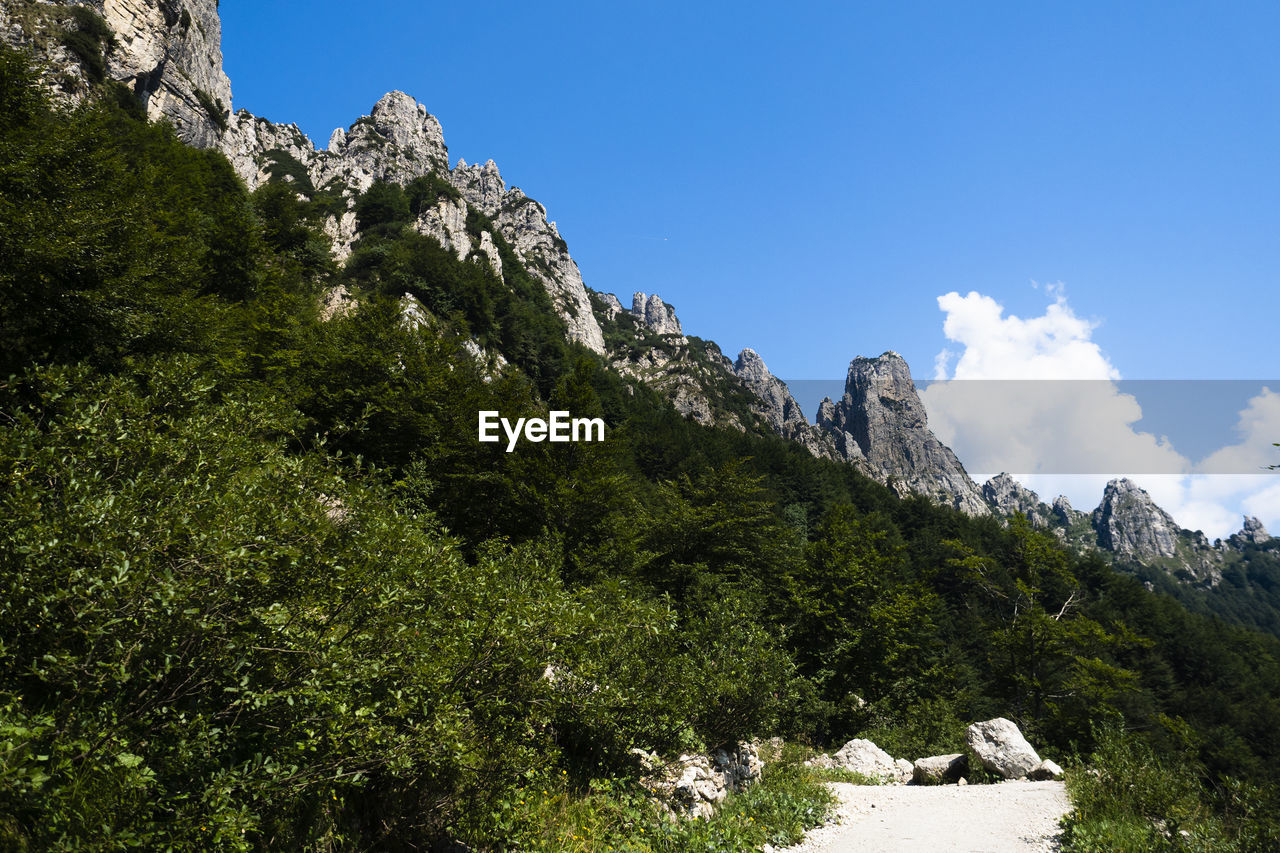 LOW ANGLE VIEW OF ROCKS AND PLANTS AGAINST SKY