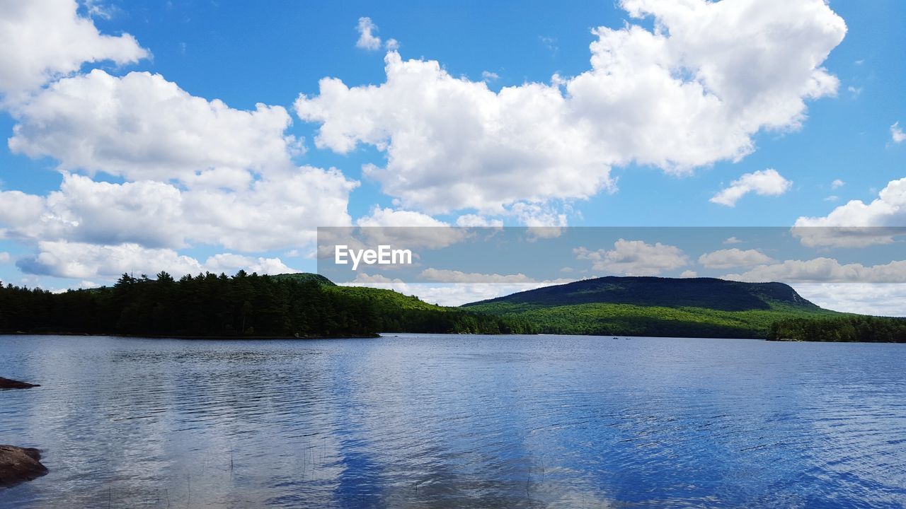 View of river and forest