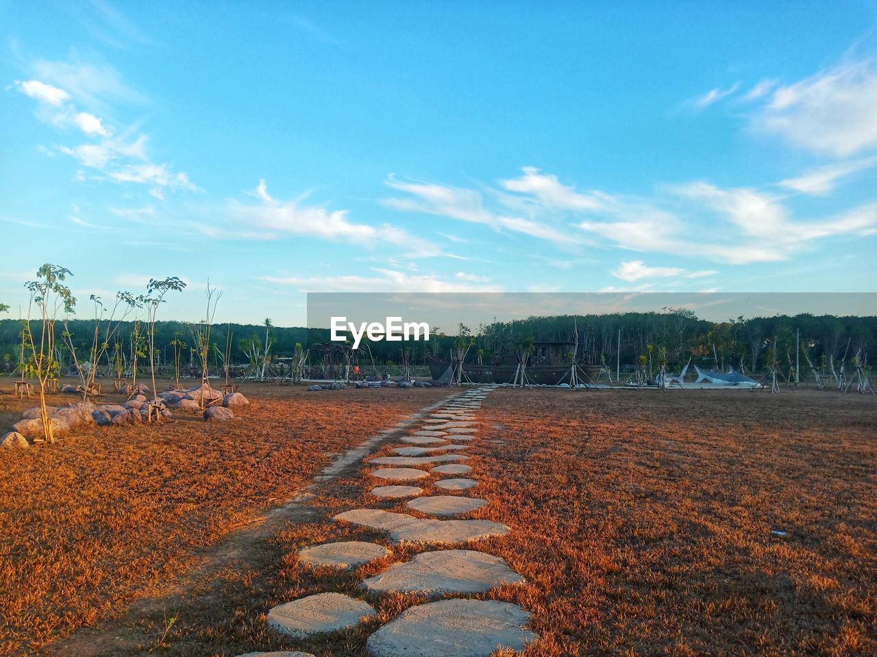 Surface level of dirt road on field against sky