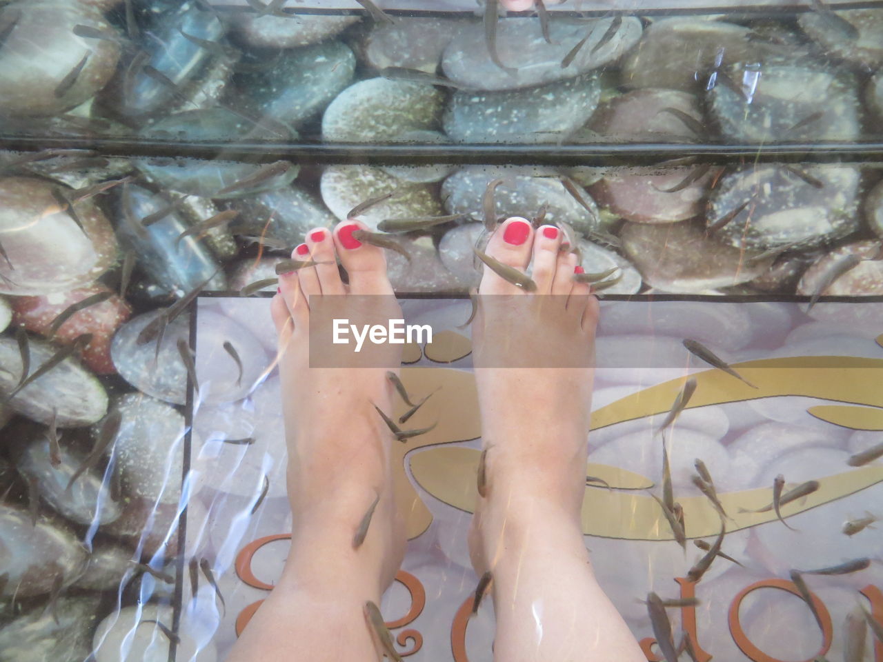 Low section of woman fish pedicure in spa